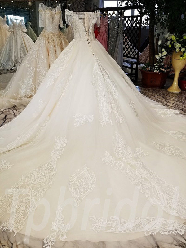 Ball Gown Lace Wedding Dress Princess With Long Train 2020