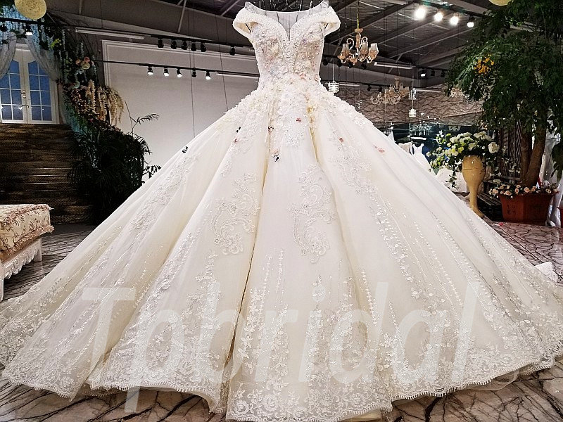 plus size ball gowns cheap
