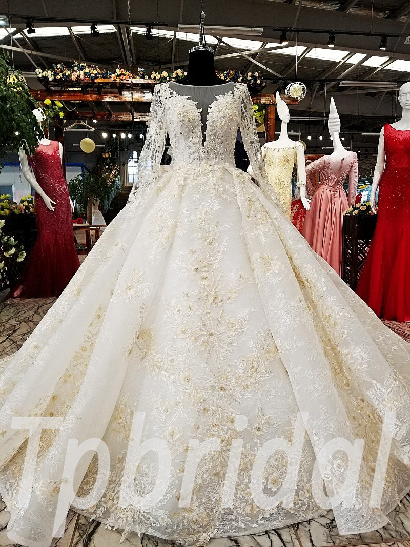 Stunning Ball Gown Wedding Dress with Long Train