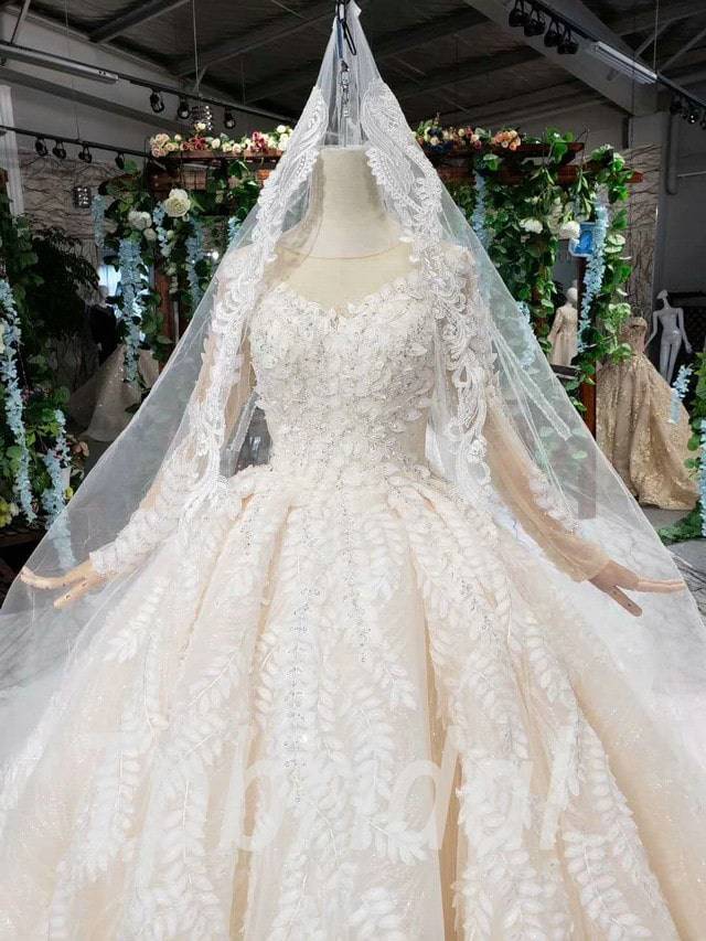 wedding-dress-with-veil-champagne-ball-gown-long-sleeve