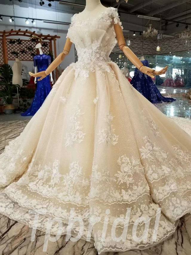 Princess Wedding Gown Champagne A Line Flowers Lace Bridal Dress