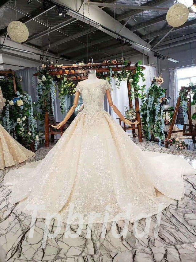 Short Sleeve Wedding Dress Champagne Bling Ball Gown